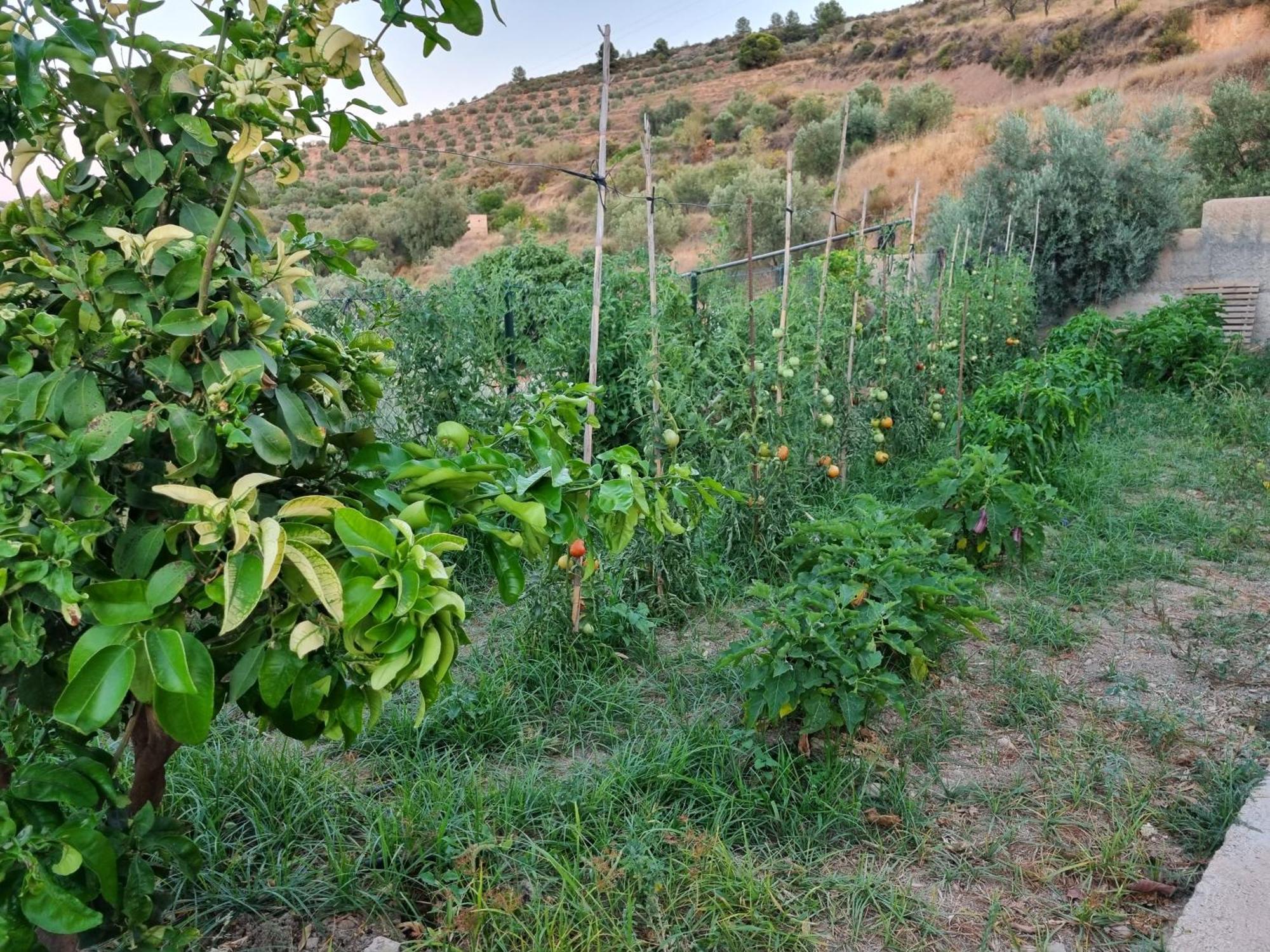 Cortijo Don Enrique Villa Restábal Buitenkant foto